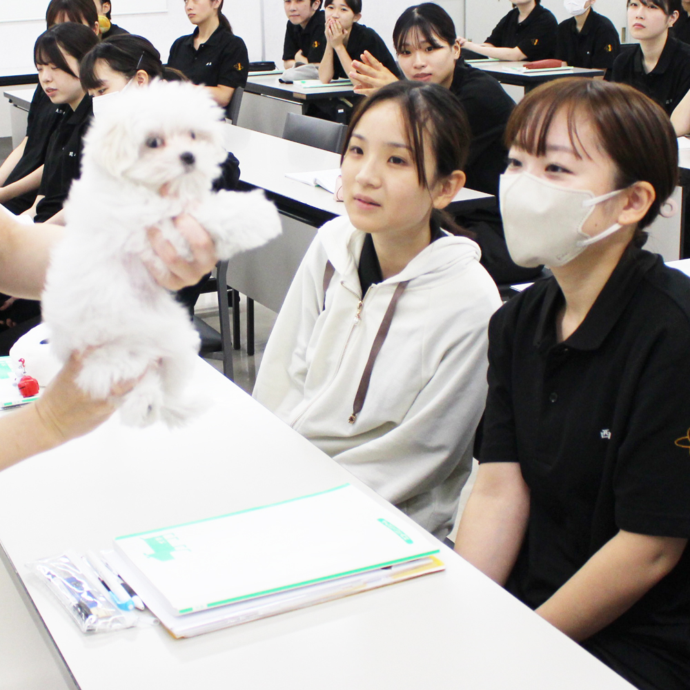 子犬と一緒に犬学を勉強！